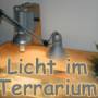 terrarium.jpg