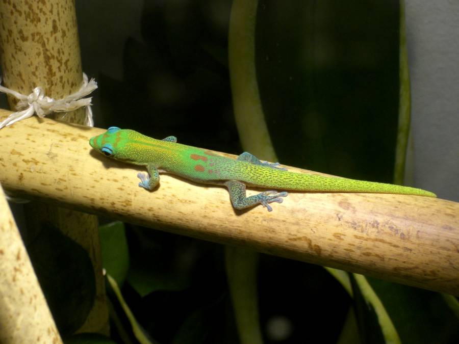 male2011-08_2.jpg