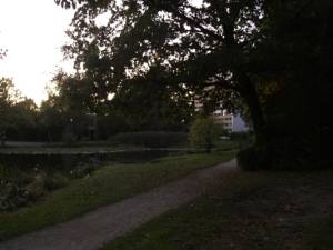 Abenddämmerung, 100