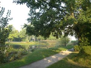 Sonnig, vormittags, 6000