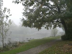 Nebel, 6000