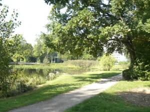 Sonne, mittags, 12000