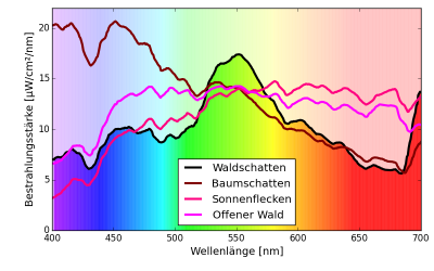 Lichtverhältnisse im Wald {{wxcite>724