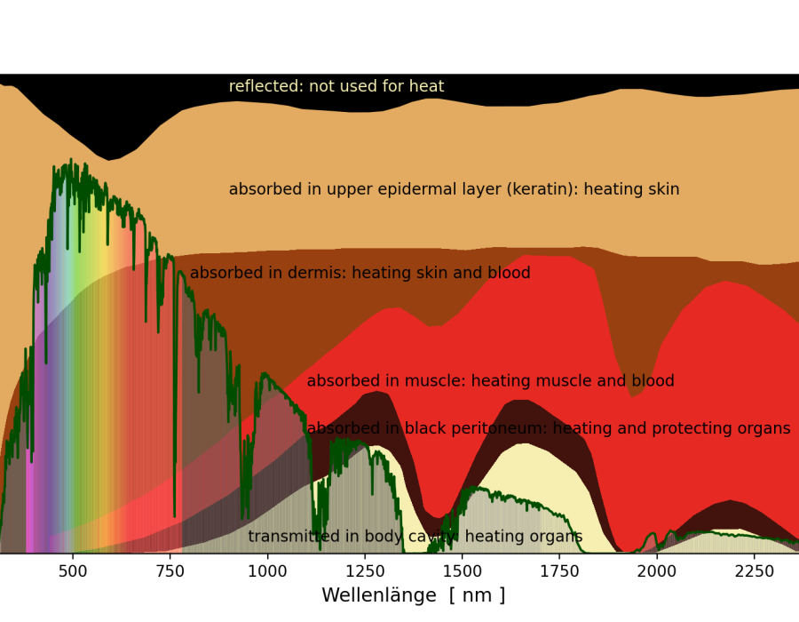 plot_porter1967b2.png