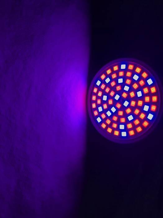 pink_led.jpg